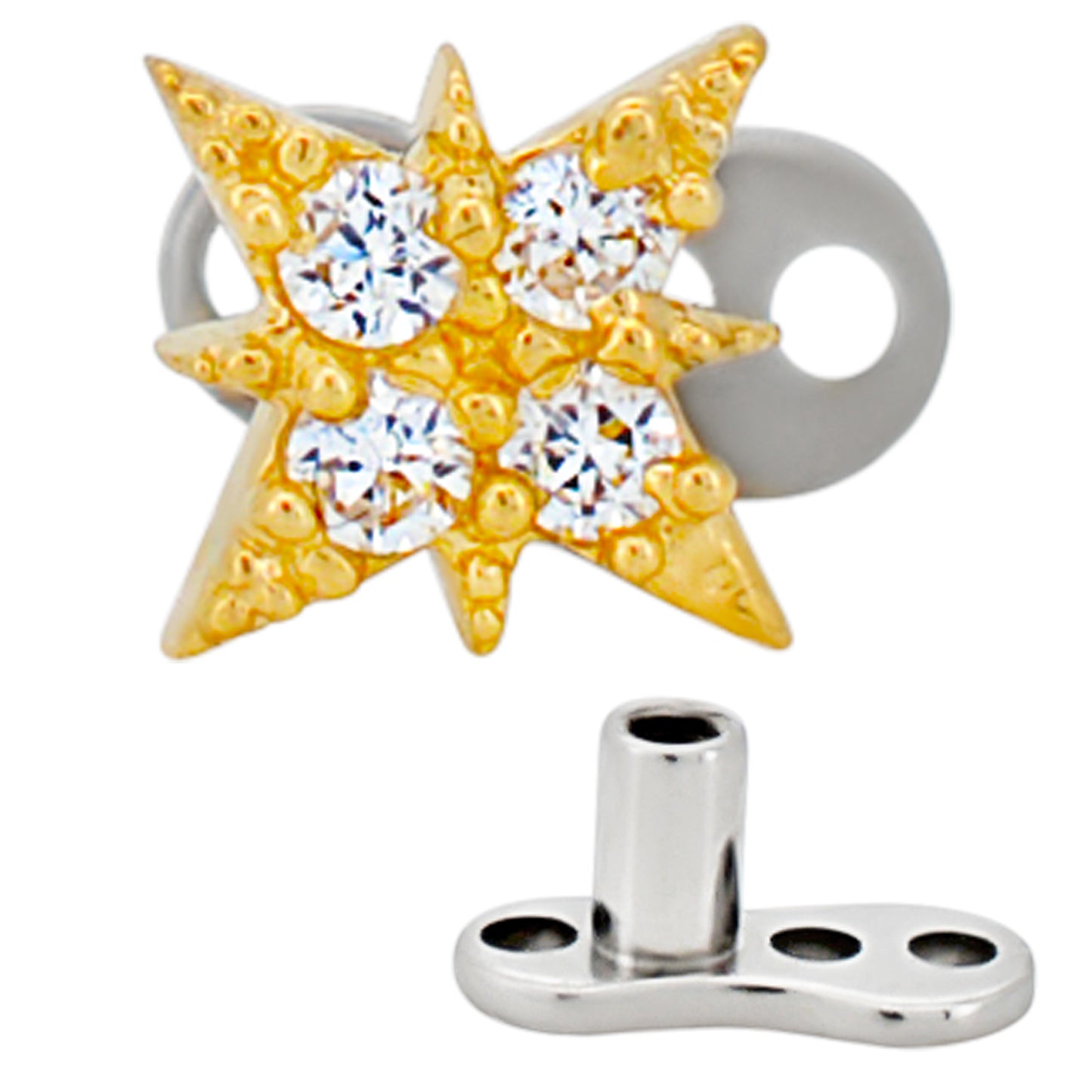 14k Gold Starburst Dermal Top with Titanium Dermal Anchor